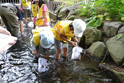 https://www.kankyo.sl-plaza.jp/blog/20130803-4.jpg