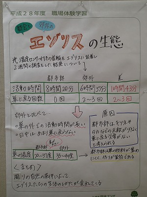 https://www.kankyo.sl-plaza.jp/blog/20161110-7.jpg