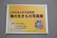 20130125-1.jpg
