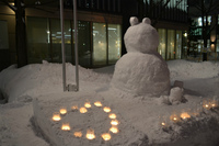 snow&candle (3).jpg