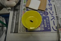 20130831-11.jpg