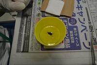 20130831-11.jpg