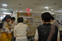 20140906-9.jpg