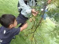 20160831-5.jpg