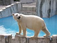 札幌市円山動物園